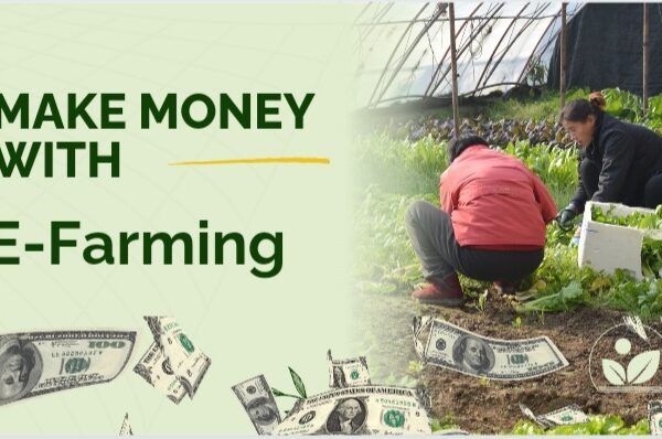 How to Make money with efarming